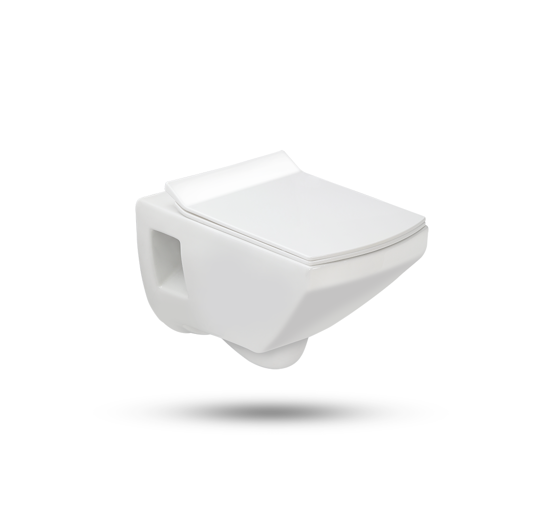 Wall Hung Water Closet